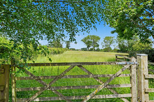 Paddock land- click for photo gallery